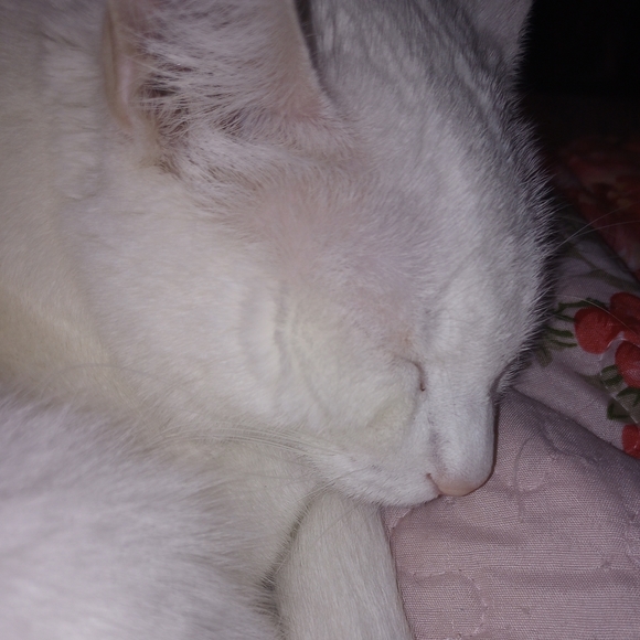 NoraBlue10 Is Live + Like to be notified - Picture 8 of 10